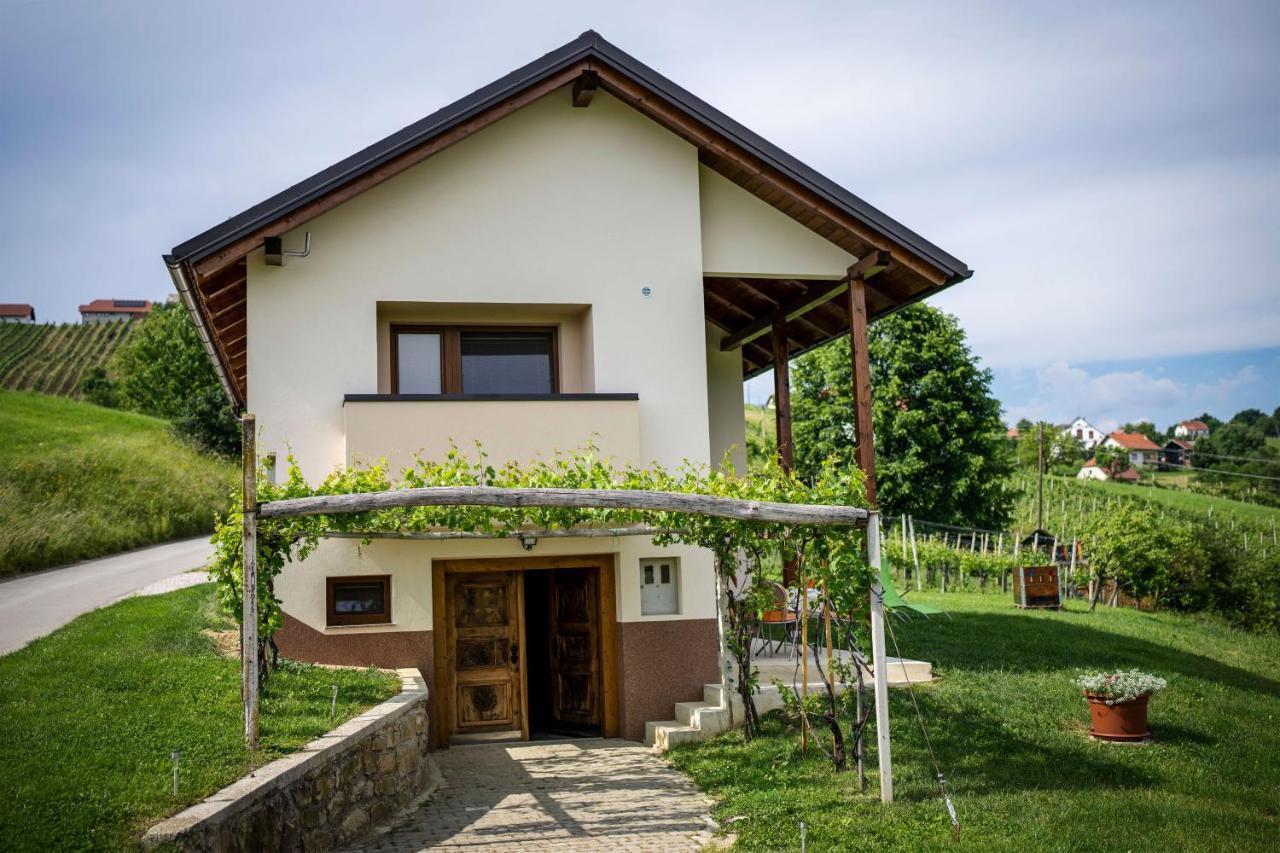 Holiday House Zlacka Gorca Pristava pri Mestinju エクステリア 写真