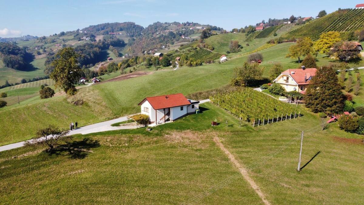 Holiday House Zlacka Gorca Pristava pri Mestinju エクステリア 写真