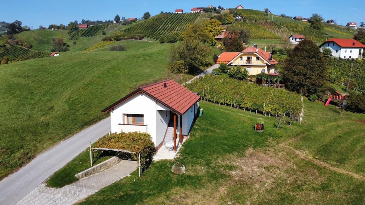 Holiday House Zlacka Gorca Pristava pri Mestinju エクステリア 写真