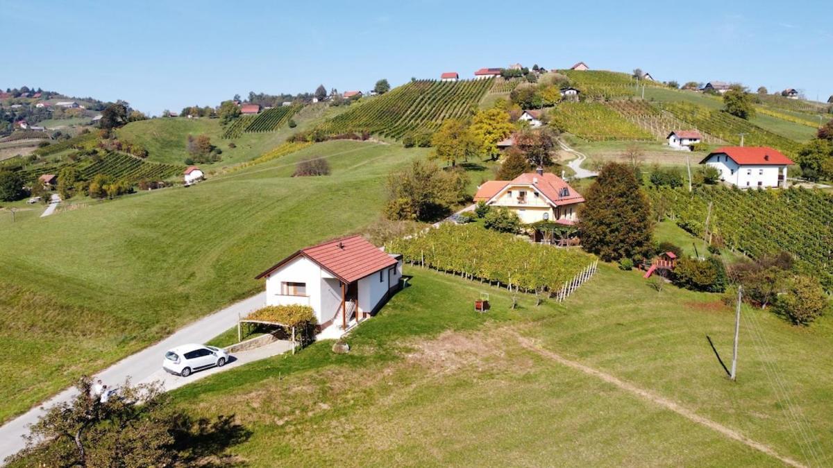 Holiday House Zlacka Gorca Pristava pri Mestinju エクステリア 写真