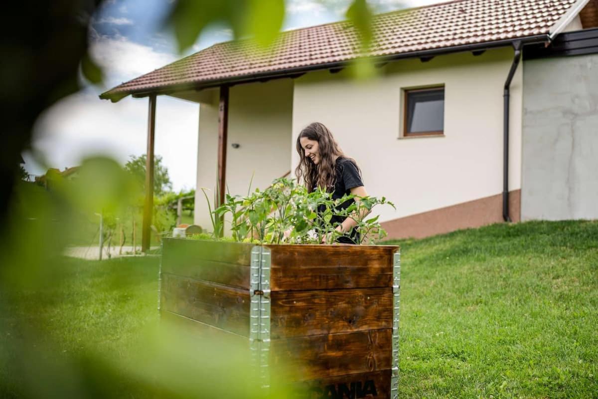 Holiday House Zlacka Gorca Pristava pri Mestinju エクステリア 写真